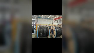 Identifikasi inti kabel yang dibundel melalui tulang rusuk dan gambar pencetakan laser