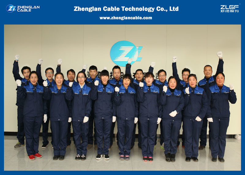 Apakah Anda tahu tentang 17 jenis sertifikasi untuk ekspor kawat dan kabel?