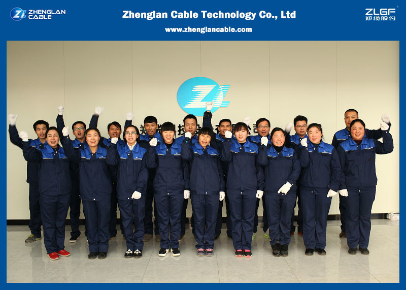 Apa kinerja teknis utama kabel udara?