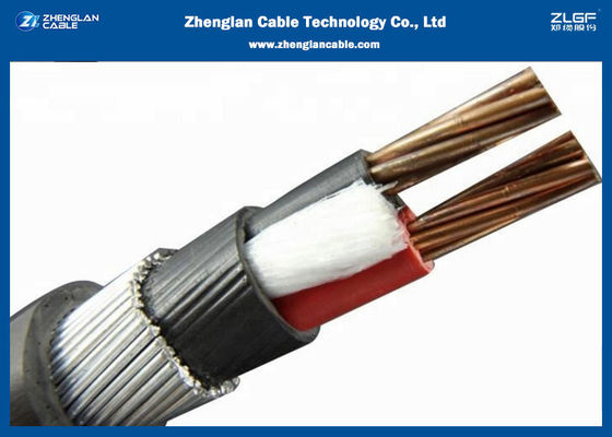 0.6/1KV Two Cores unarmoured XLPE Insulated Power Cables（CU/XLPE/LSZH/DSTA）Nominal Section：2*1.5~2*400mm²